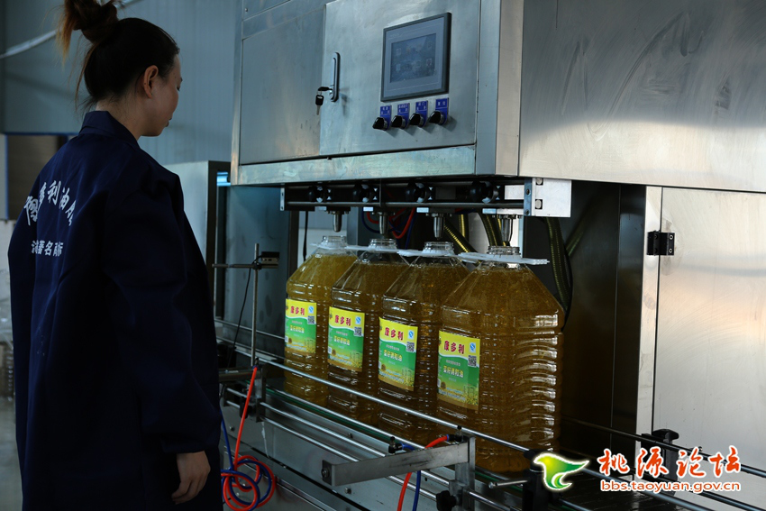 南宫娱乐NG28,油茶种植出产加工销售,植物油种植出产加工销售