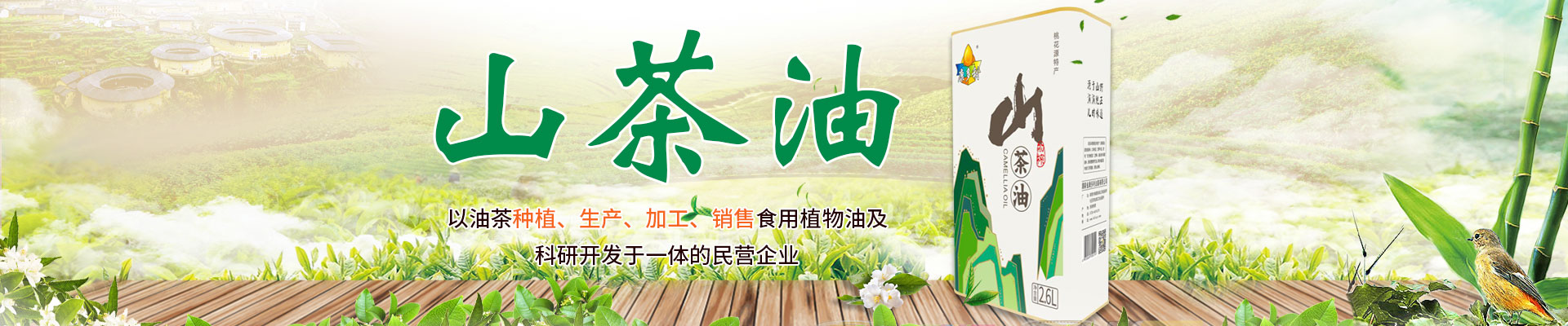 南宫娱乐NG28_油茶种植出产加工销售|植物油种植出产加工销售 南宫娱乐NG28_油茶种植出产加工销售|植物油种植出产加工销售
