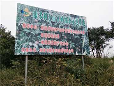 南宫娱乐NG28,油茶种植出产加工销售,植物油种植出产加工销售