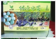 南宫娱乐NG28,油茶种植出产加工销售,植物油种植出产加工销售